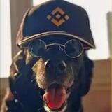 Binance Dog Portal