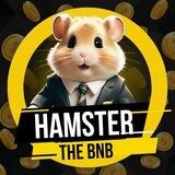 Hamster The BNB