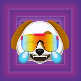DOG | 0xd09 | Entry