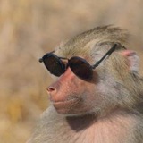 MOST ELEGANT MONKEY EVER $MEME
