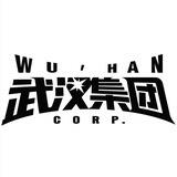 武汉集团