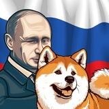 Yume - Putin's Akita Inu