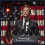 Department Of Government Efficiency C.T.O.