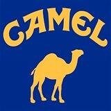 $CAMEL - Portal🐪