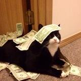 Money Over Bitches - CTO