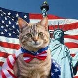 $MERICAT Portal