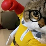 CATAMA