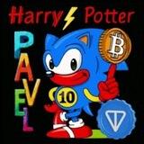 HarryPotterPavelSonic100Inu