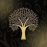 Барвиха Lounge | Митино