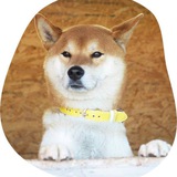 KABO