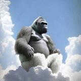 🦍$HARAMBE Portal🦍