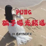 PUBG骗子曝光频道