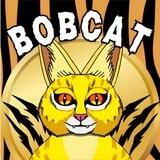 $BOBCAT by 𝓜𝓪𝓽𝓽 𝓕𝓾𝓻𝓲𝓮