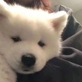 晴天信誉频道
