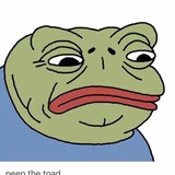 Peep The Toad