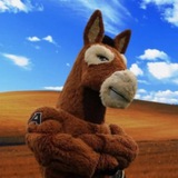 Army Academy Mascot