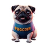 Pug Coin Solana