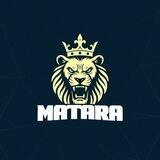 MARS中文群