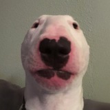 $WALTER PORTAL