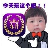 东升国际
