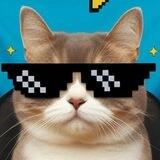 EPIC CAT / DEXSCREENER LISTET NEXT AVE 🐾✨