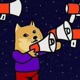 Doge in a Meme World $DEW