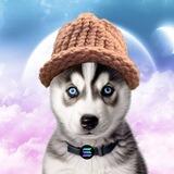 Husky Wif Hat