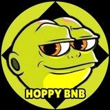 🐸Hoppy BNB🐸🔶 The frog before $PEPE 6MONTH LOCK