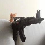 GUNCATsol