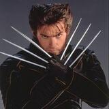Wolverine Solana