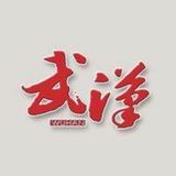 武汉出击报告