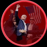SAFETRUMP ON TON