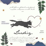Luedicy's result–box.