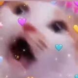 Anants Shitposting Chat