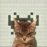 $GLITCH CTO Portal