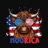 🇺🇸MOORICA USA🇺🇸