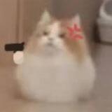 免费曝光热点推送