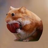 NomNom Portal