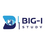 BIGI STUDY