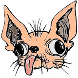 Chiwiwis Token