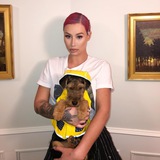 Bam the Punk Entry