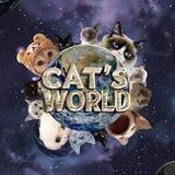 CAT'S WORLD $CATS on Solana😺 🌍 (MEOW OR BAN)- LAUNCH 5PM UTC JULY 15th