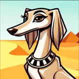 SALUKI CTO