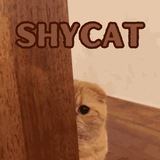 Shycat Club Portal