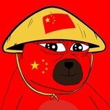 BEIBEI 🇨🇳