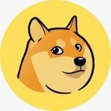 FIRST DOG MEME $KABOSU
