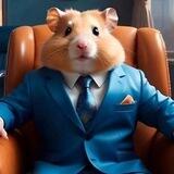 ایردراپز همستر | Airdrops hamster