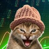 catwifhat