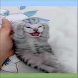 SCREECHI