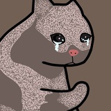 First Deployed Crying Cat